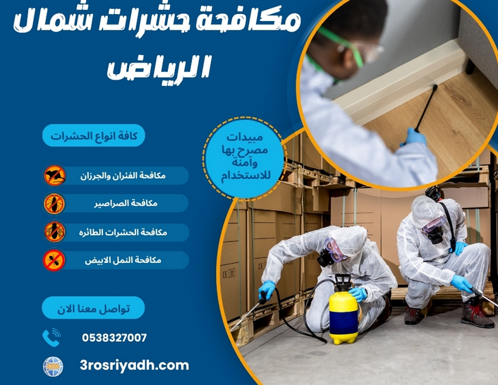 الدليل الشامل لمكافحة الحشرات المنزلية: أسباب الظهور، طرق الوقاية، وأحدث أساليب القضاء عليها