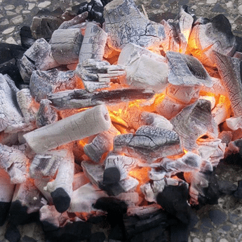 coal for export
