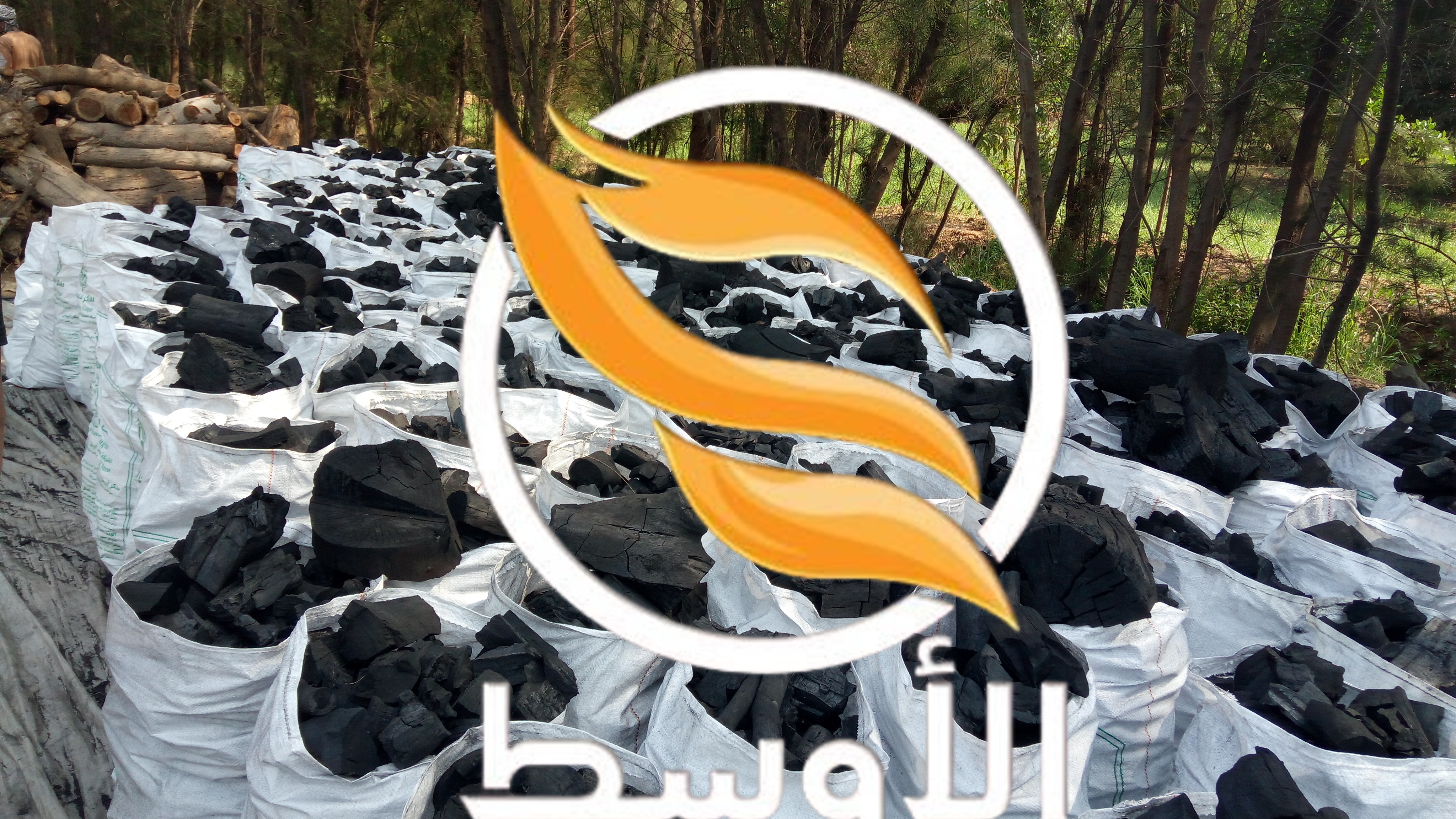 فحم البرتقال الطبيعي للتصدير - فحم البرتقال مشاوي وشيشة