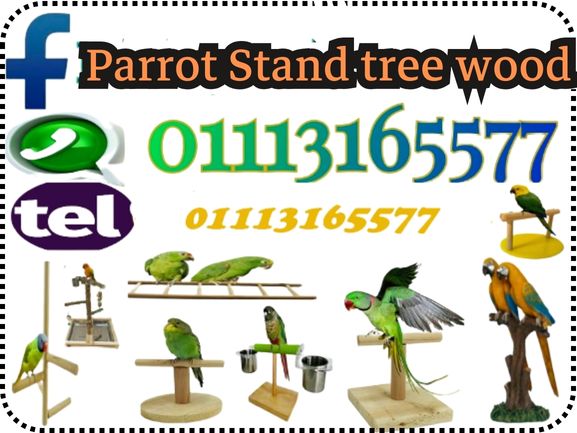 Parrot Stand tree wood استاند ببغاوات و طيور زينة