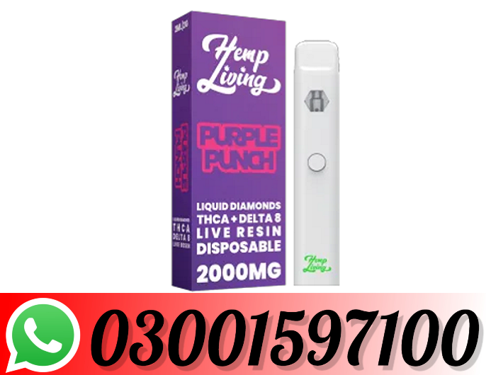 03001597100  - Purple Punch Vape Pen In Sadiqabad 