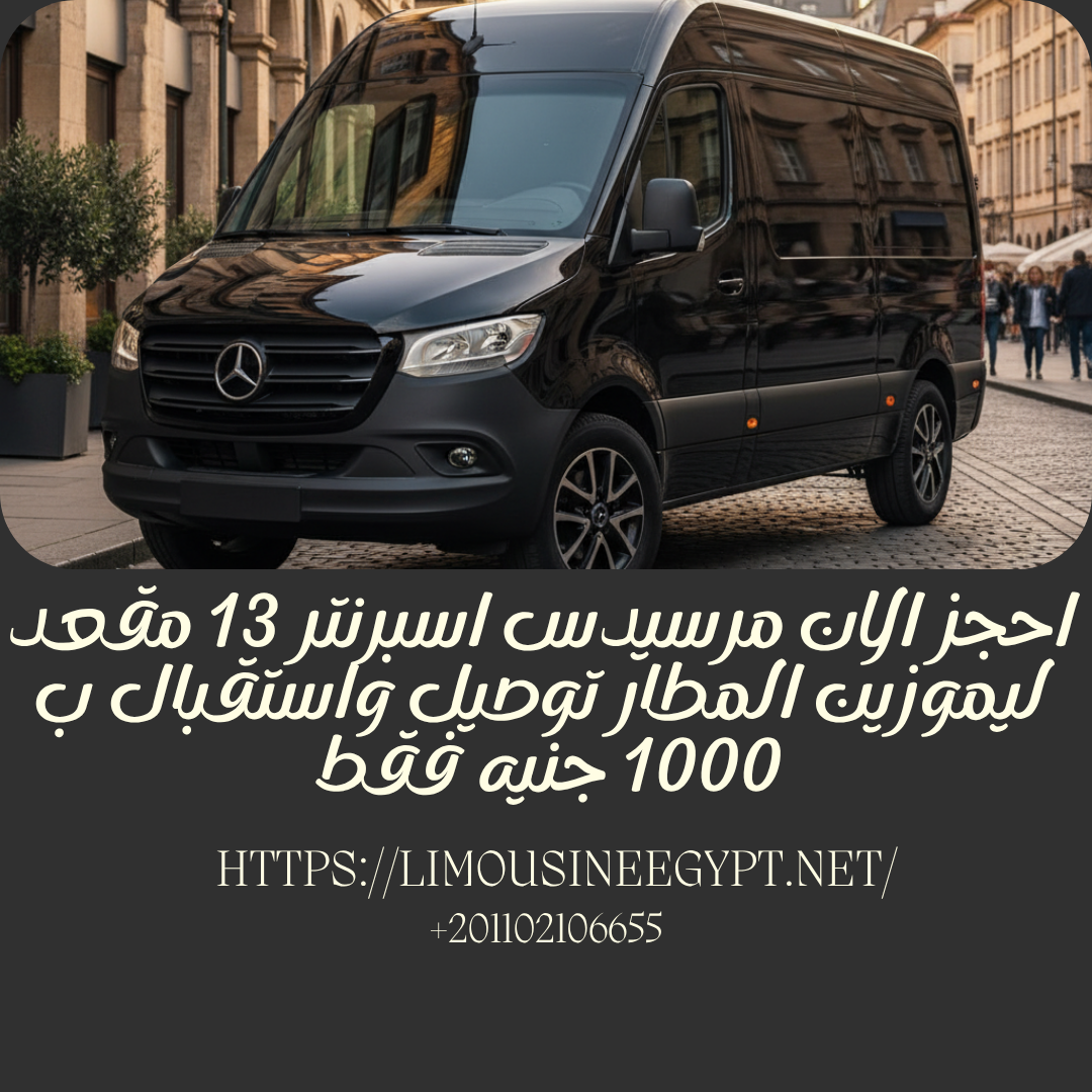 Mercedes Sprinter 13-Seater Minibus Rental for Airport and Tourism Services