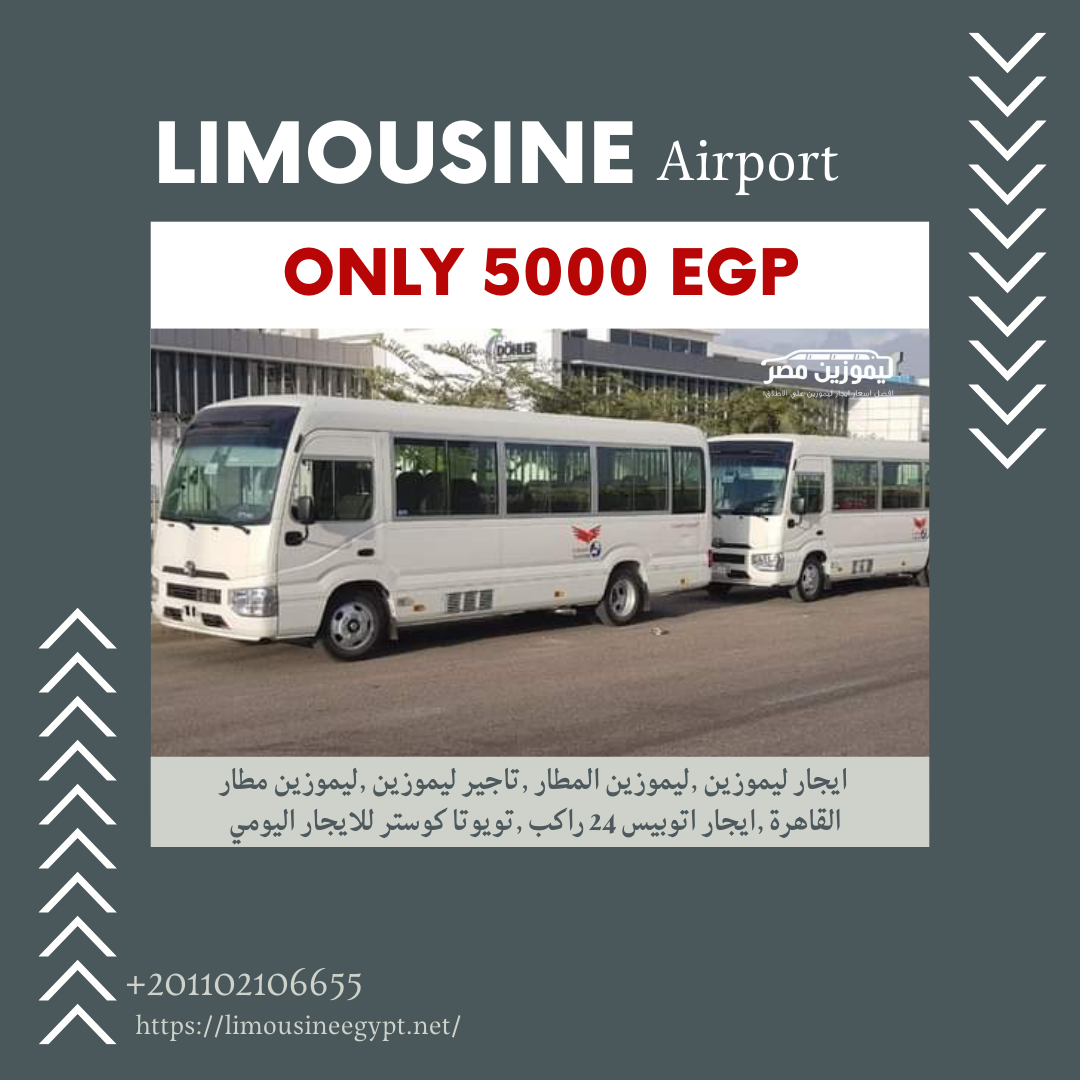 Rent Toyota Coaster Bus (25 Seats) with Driver | Executive Group Tours in Egypt ????????