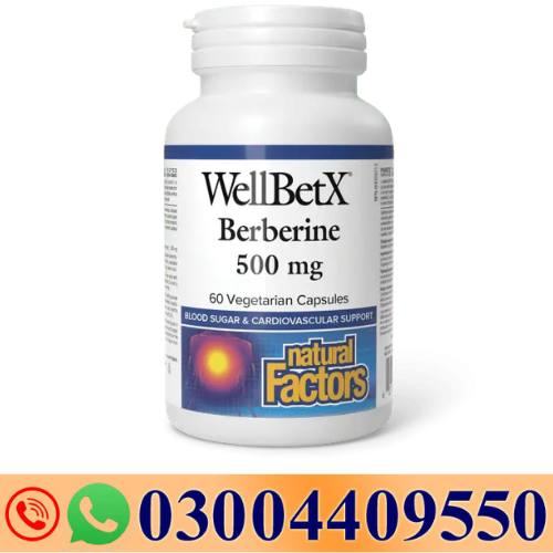 Natural Factors WellBetX Berberine 500 mg 60 Capsule in pakistan-03004409550 -Darazshops.com