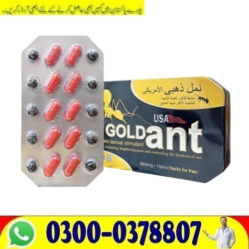 !USA Gold Ant Timing Tablets Online in Islamabad Buy Original