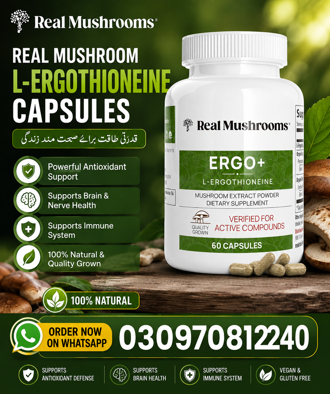 L-Ergothioneine Supplement Oyster and Shitake Mushroom Extract Immune Support Supplement in pakistan