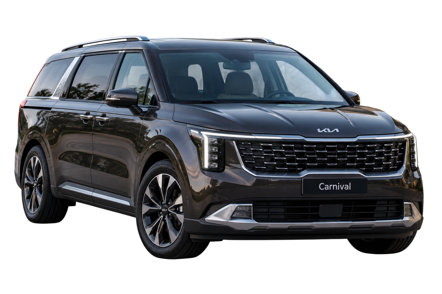 Rent Kia Carnival: Group Sightseeing Transport from Sofitel Cairo to Citadel